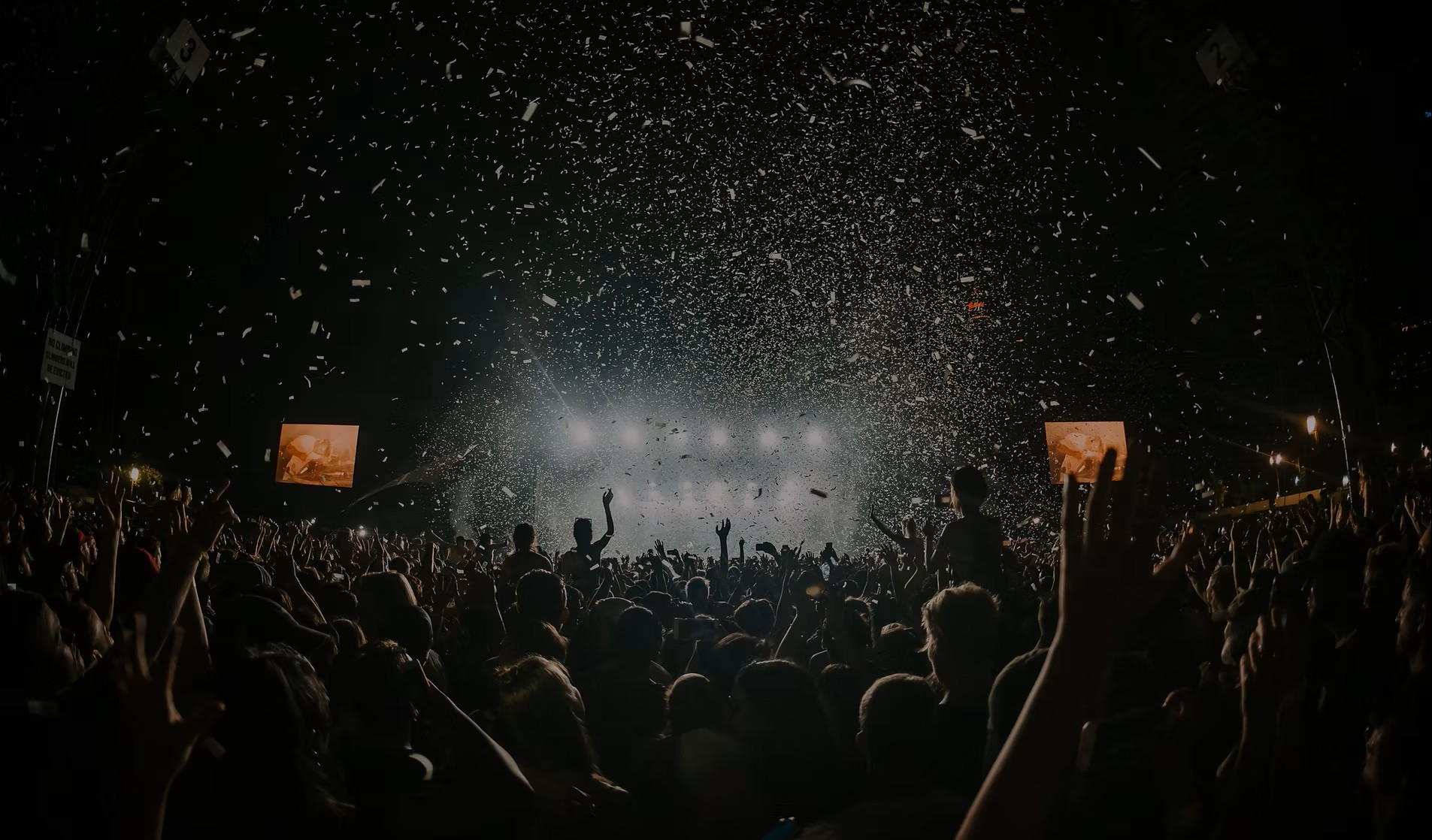Concert crowd